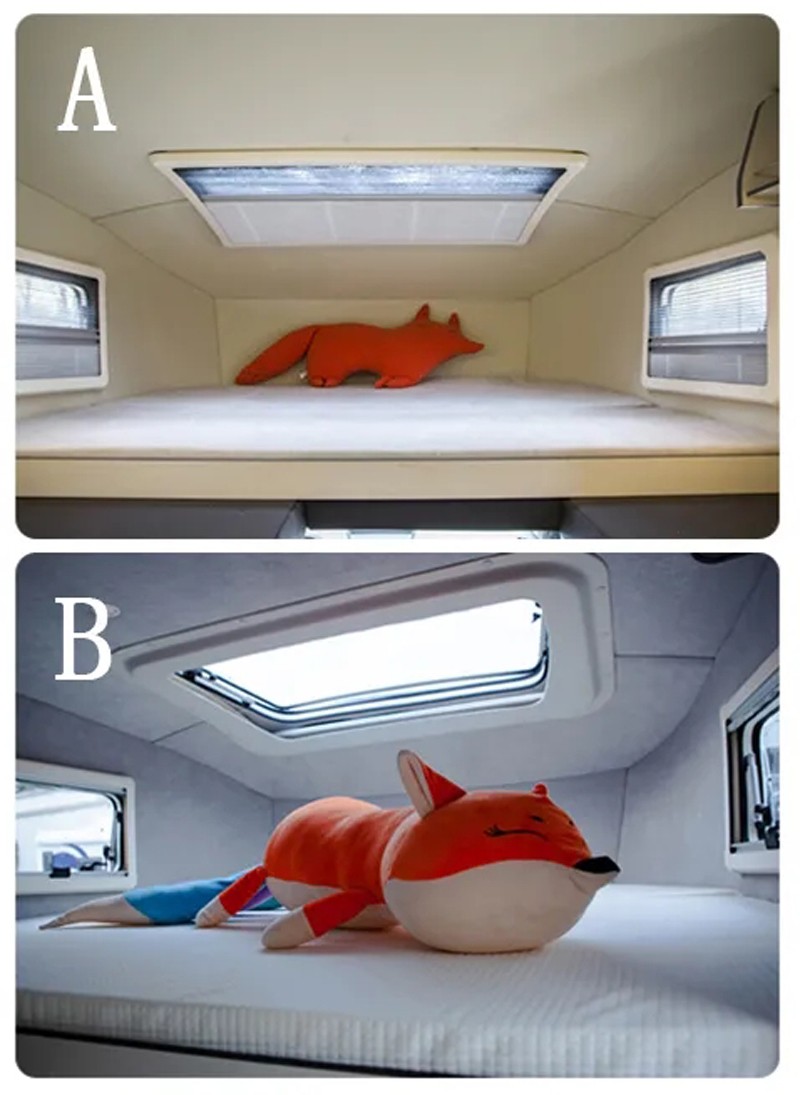 哪款自由炮和您更般配？